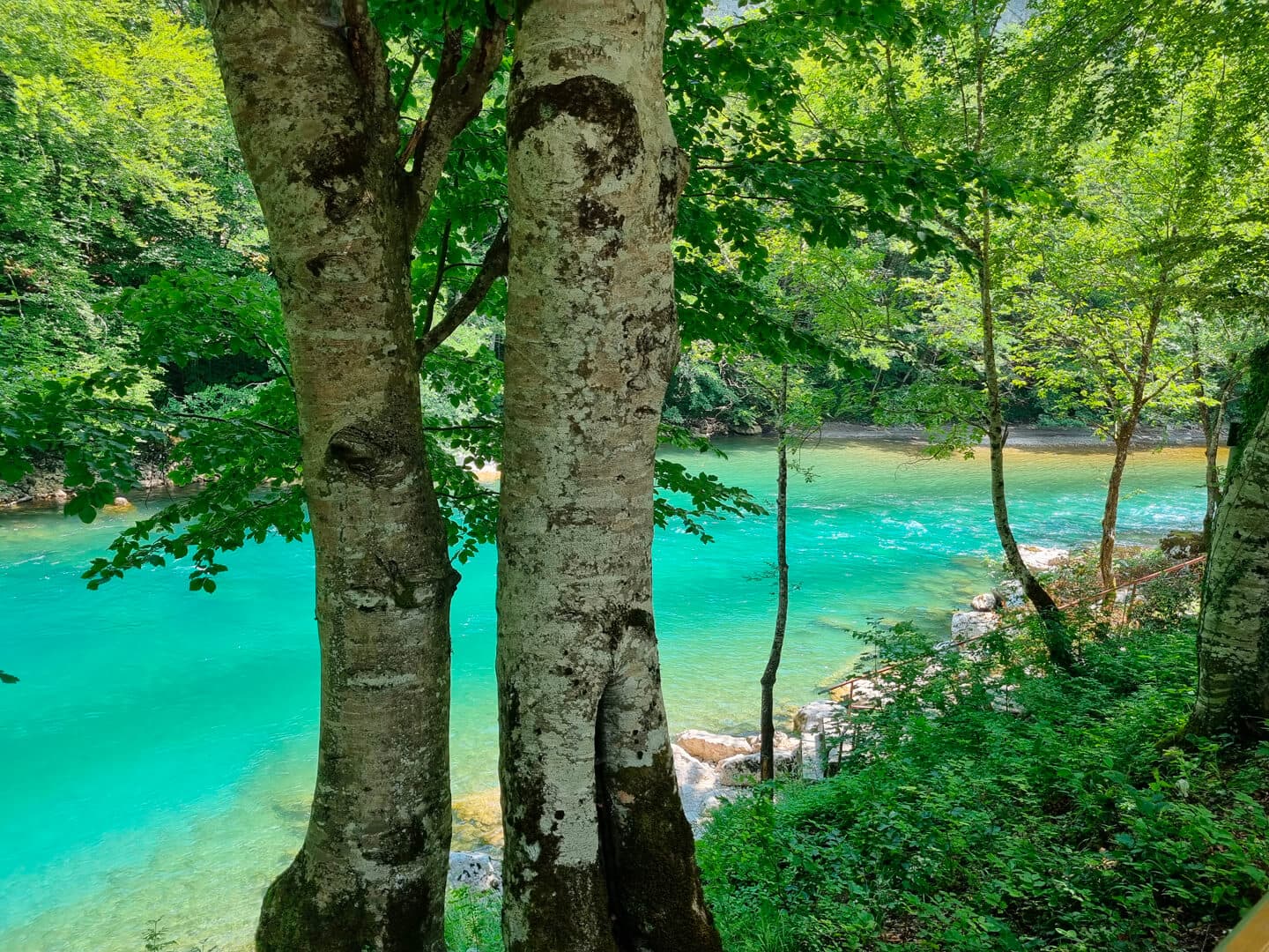 REKA TARA I MOST DJURDJEVICA TARA (Tara river and Djurdjevica Tara bridge)