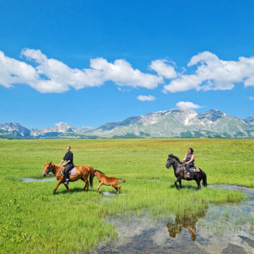 IMG_20230620_192000_597